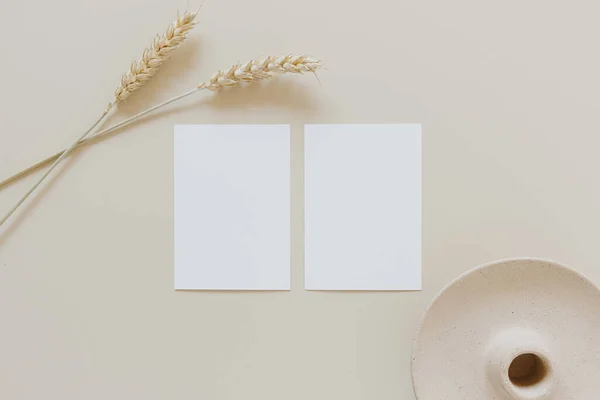 Blanco Papieren Kaarten Met Mockup Kopieerruimte Tarwe Rogge Stengels Beige — Stockfoto