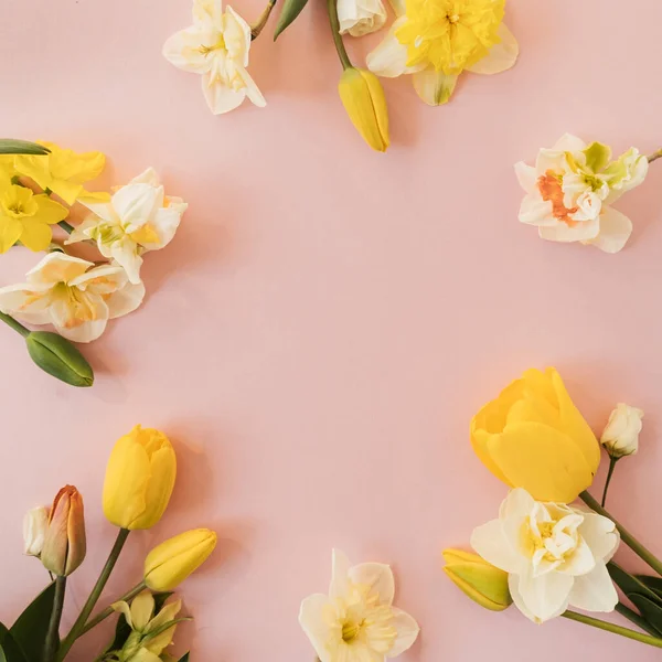 Kulatý Rám Věnec Žlutých Narcisů Tulipánových Květin Růžovém Pozadí Flat — Stock fotografie