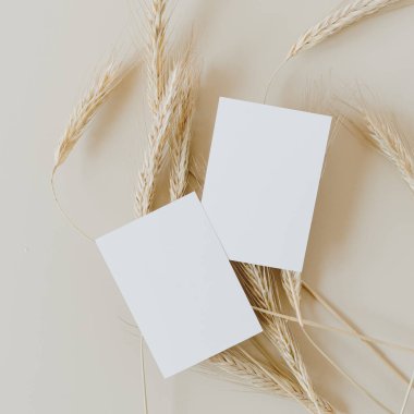 Çavdar ekmeğine kopyalama alanı olan boş kağıt kartvizitler, bej arka planda buğday sapları. Minimum iş şablonu. Flatlay, üst görünüm.