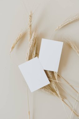 Çavdar ekmeğine kopyalama alanı olan boş kağıt kartvizitler, bej arka planda buğday sapları. Minimum iş şablonu. Flatlay, üst görünüm.