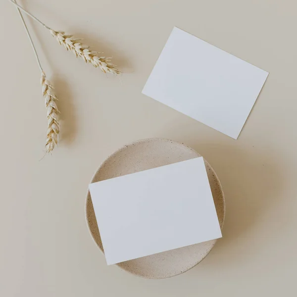 空白纸制卡片 仿制复制空间和米色背景的小麦 黑麦茎 最小的商业品牌模板 平躺在地上 俯瞰四周 — 图库照片