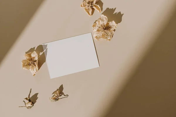 Blank Paper Sheet Card Empty Copy Space Flower Buds Sunlight — Stock Photo, Image