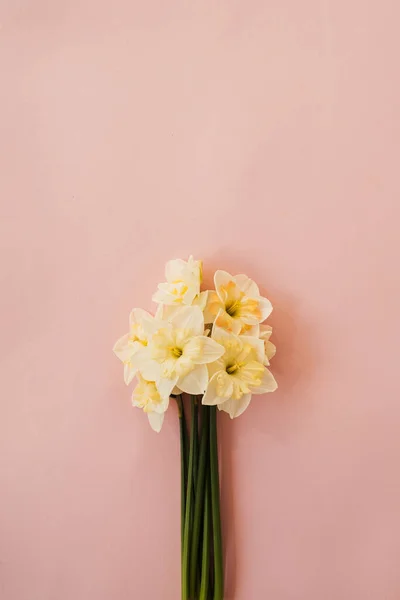 Букет Цветов Нарцисс Розовом Фоне Плоский Вид Сверху Цветочный Праздничный — стоковое фото