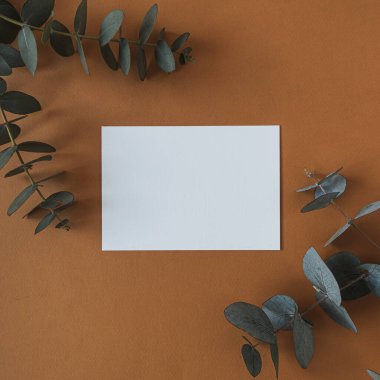 Sahte kopya alanı olan boş kağıt kağıtlar, koyu turuncu arka planda okaliptüs dalları. Düz konum, üst görünüm minimal ticari marka şablonu