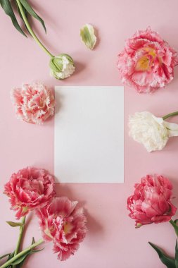 Pembe ve beyaz şakayık lale çiçekleri çerçevesinde boş kağıt kağıtlar. Düz yatış, üst görünüm