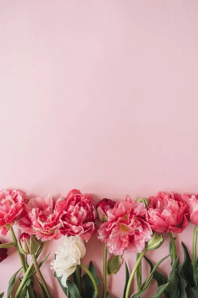 Прекрасный Букет Цветов Тюльпанов Розовом Фоне — стоковое фото