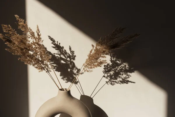 Dry Pampas Grass Reed Stylish Vase Shadows Wall Silhouette Sun — Stock Photo, Image