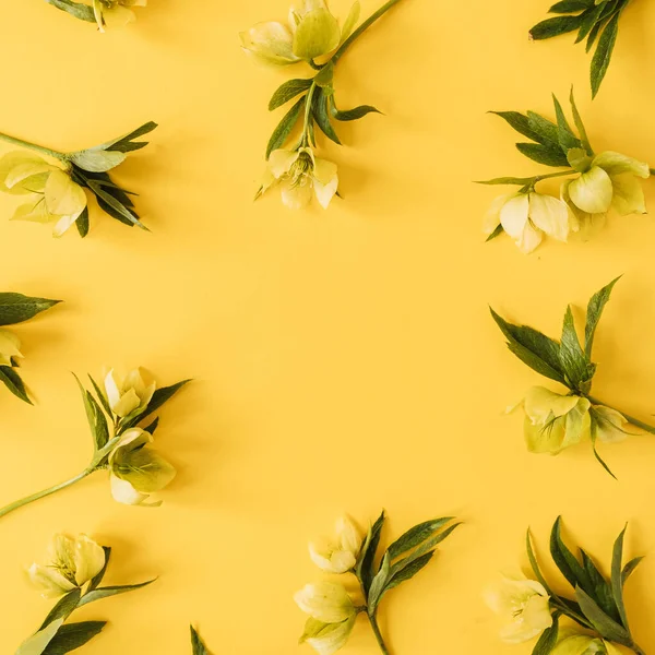 Frame Wreath Blank Copy Space Made Yellow Hellebore Flowers Yellow — Stock Photo, Image