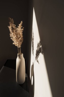 Modaya uygun vazoda kuru otlar / sazlıklar. Duvardaki gölgeler. Güneş ışığında siluet. En küçük iç dekorasyon kavramı
