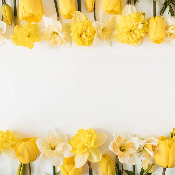 框架与空白复制空间由黄色水仙和郁金香花的白色背景 平面放置 顶视图花卉节假日的概念 — 图库照片