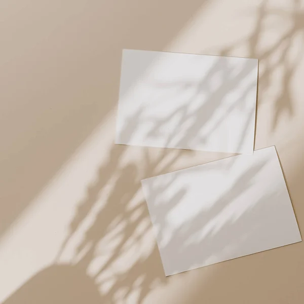 Cartões Papel Branco Com Espaço Cópia Mockup Com Sombra Luz — Fotografia de Stock