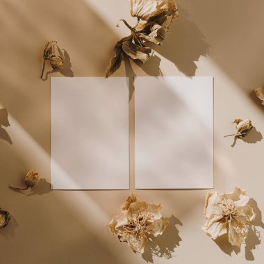 Sahte kopya alanı olan boş kağıt kağıtlar ve bej arka planda güneş ışığı gölgesi olan kuru çiçek tomurcukları. Minimal ticari marka şablonu. Düz yatış, üst görünüm