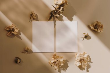 Sahte kopya alanı olan boş kağıt kağıtlar ve bej arka planda güneş ışığı gölgesi olan kuru çiçek tomurcukları. Minimal ticari marka şablonu. Düz yatış, üst görünüm