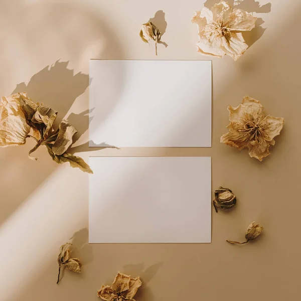 Prázdné Papírové Listy Makupem Kopírovat Prostor Suché Květinové Pupeny Slunečním — Stock fotografie