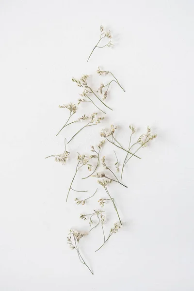 Witte Wilde Bloemen Witte Achtergrond Vlakke Lay Bovenaanzicht — Stockfoto