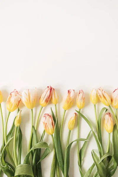 Состав Цветов Многими Желтыми Тюльпанами Белом Фоне Плоский Вид Сверху — стоковое фото