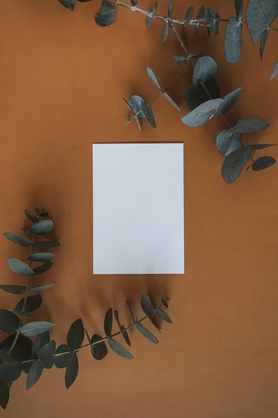 Cartão Folha Papel Branco Com Espaço Cópia Mockup Ramo Eucalipto — Fotografia de Stock