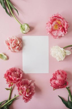 Pembe şakayık çiçekleri çerçevesinde boş kağıt kart. Flatlay, üst görünüm