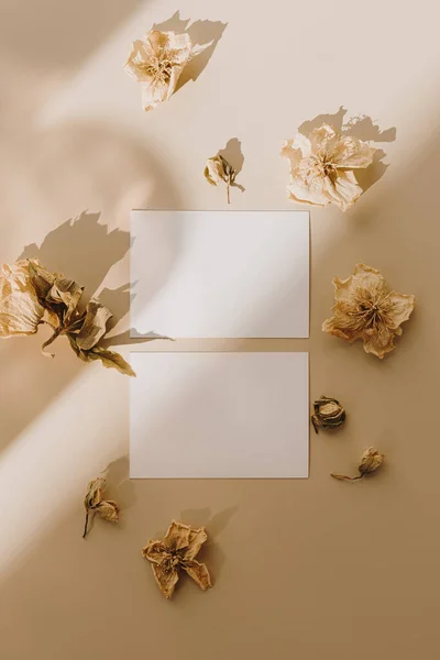 Cartões Papel Branco Com Espaço Cópia Mockup Botões Flores Secas — Fotografia de Stock