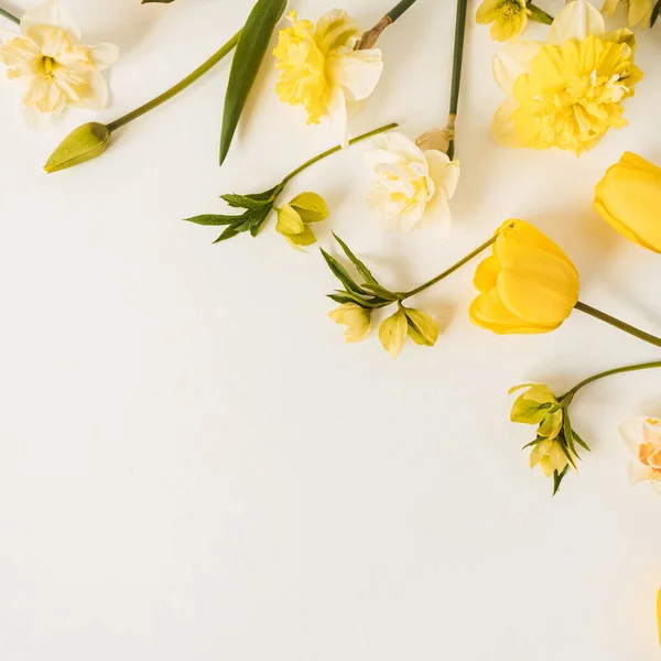 Цветочный Состав Тюльпанами Нарциссами Цветы Белом Фоне Копировальное Пространство Плоская — стоковое фото