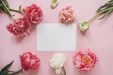 Pembe arka planda pembe ve beyaz şakayık lale çiçeklerinden oluşan yuvarlak çerçeveli boş kağıt kağıtlar. Düz yatış, üst görünüm çiçek modeli ve boş kopya alanı şablonu