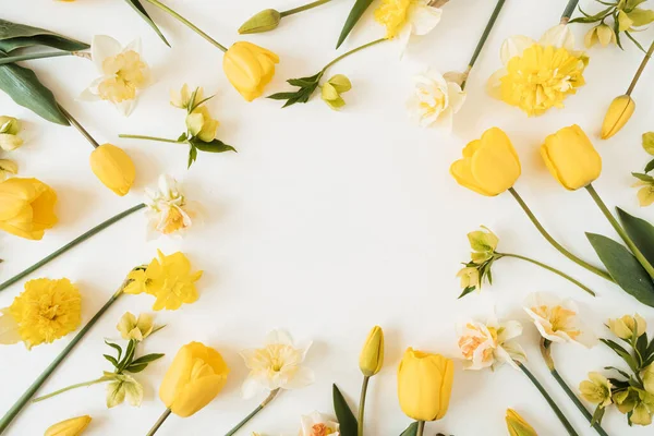 Corona Marco Redondo Con Espacio Copia Blanco Hecha Narciso Amarillo — Foto de Stock