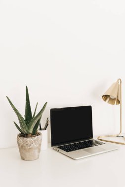 Altın lamba ve ev bitkisi aloe vera ile beyaz masa üzerinde boş fotokopi alanı olan dizüstü bilgisayar. Minimalist ev ofis çalışma alanı. Model şablonu.