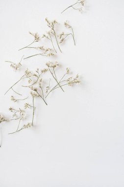 Beyaz arka planda beyaz çiçekler. Düz yerde, çiçeklerle süslenmiş bayram kompozisyonu. Düğün, Sevgililer Günü, Anneler Günü.