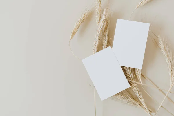 Tarjetas Hoja Papel Blanco Con Espacio Copia Maqueta Centeno Tallos — Foto de Stock