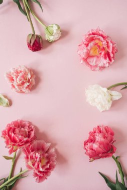 Pembe arka planda pembe ve beyaz şakayık çiçeklerinden oluşan yuvarlak çerçeveli çiçek kompozisyonu. Düz konum, üst görünüm modelleme alanı şablonu