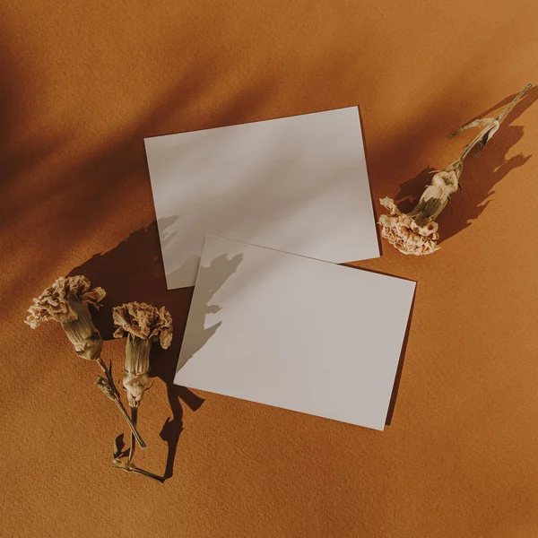 Cartões Papel Branco Com Espaço Cópia Mockup Botões Flores Secas — Fotografia de Stock