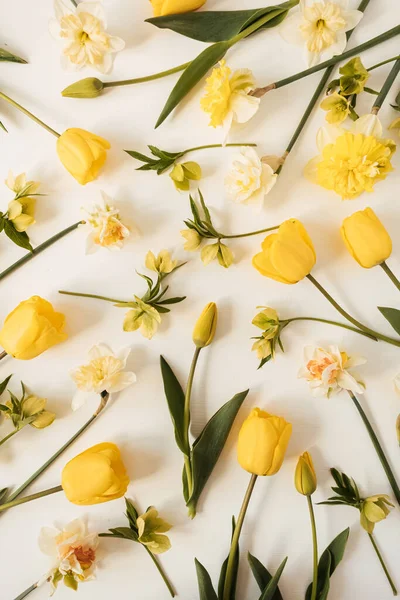 Composición Floral Con Tulipanes Flores Narcisas Sobre Fondo Blanco Piso — Foto de Stock