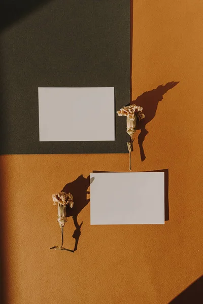 Boş Fotokopi Alanı Olan Boş Kağıt Kağıtlar Kuru Çiçek Tomurcukları — Stok fotoğraf