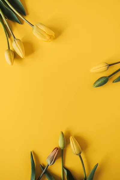 Круглая Рамка Венок Желтыми Цветами Тюльпана Желтом Фоне — стоковое фото