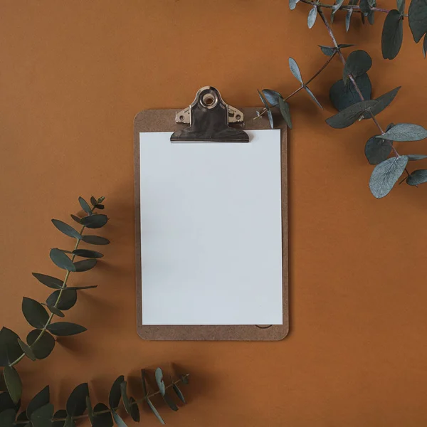Blank Paper Sheet Clipboard Pad Empty Copy Space Dry Eucalyptus — Stock Photo, Image