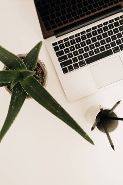 Laptop beyaz masada, aloe bitkisiyle. Asgari ofis masası çalışma alanı. Düz yatış, üst görünüm