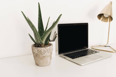 Altın lamba ve ev bitkisi aloe vera ile beyaz masa üzerinde boş fotokopi alanı olan dizüstü bilgisayar. Minimalist ev ofis çalışma alanı. Model şablonu.