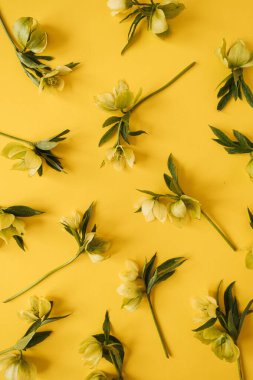 Sarı arka planda sarı çiçek desenleri var. Düz yatıyordu, çiçekli bayram desenli.