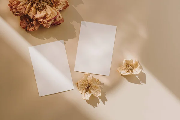 Blank Paper Sheet Cards Mockup Copy Space Dry Flower Buds — Stock Photo, Image