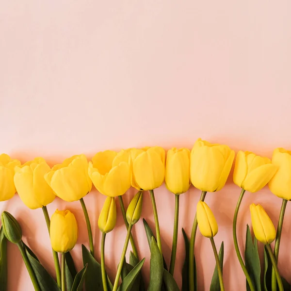 Желтый Тюльпан Цветы Розовом Фоне Плоский Вид Сверху Цветочный Праздничный — стоковое фото