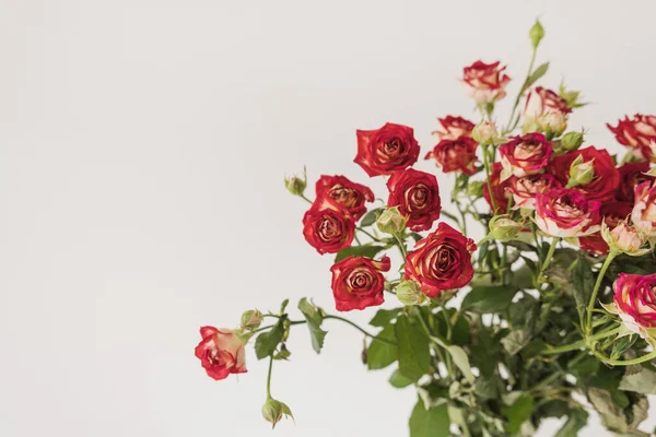 Rote Rosen Blühen Strauß Auf Weißem Hintergrund Festliches Feiertagsfest Mit — Stockfoto