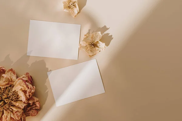 Blank Paper Sheet Cards Empty Copy Space Flower Buds Sunlight — Stock Photo, Image