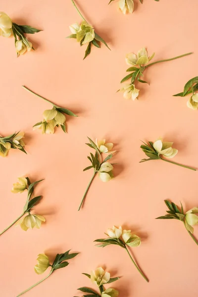 Gelbe Blütenmuster Auf Rosa Hintergrund Flache Lage Draufsicht Florale Festtagstextur — Stockfoto