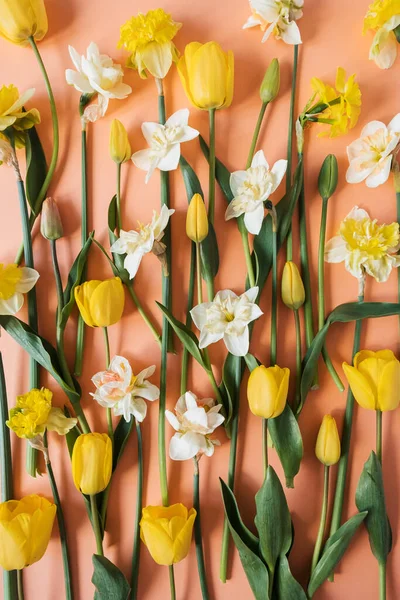 Composición Floral Con Tulipán Narciso Patrón Flores Del Hellebore Sobre — Foto de Stock