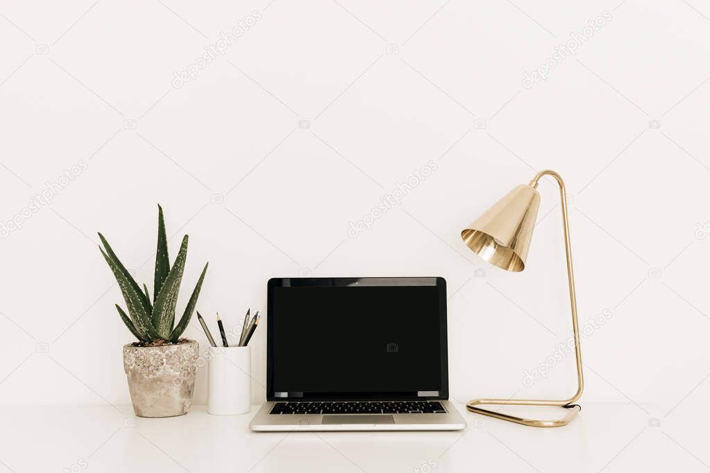 Laptop with blank copy space screen on white table with golden lamp and home plant aloe vera. Minimalist home office workspace. Mockup template.