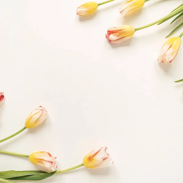 Moldura Fronteira Feita Flores Tulipa Amarela Fundo Branco Flat Lay — Fotografia de Stock