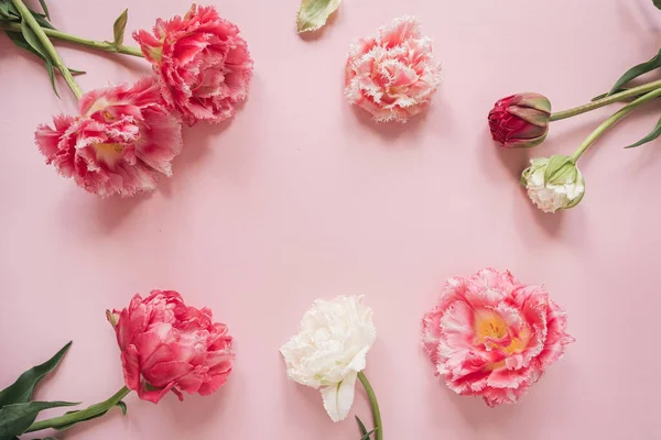 Rund Ram Vackra Rosa Och Vita Pion Tulpan Blommor Rosa — Stockfoto