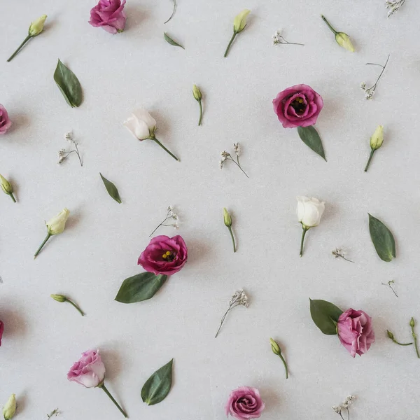Rózsa Virágok Minta Szürke Háttér Lapos Fektetés Felülnézet Virágos Ünnep — Stock Fotó