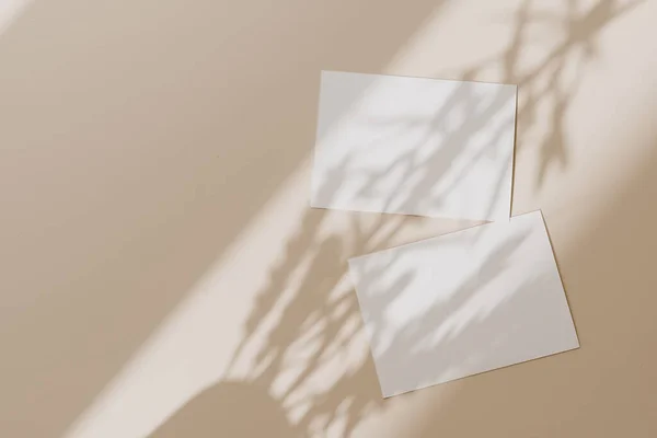 Cartões Papel Branco Com Espaço Cópia Mockup Com Sombra Luz — Fotografia de Stock