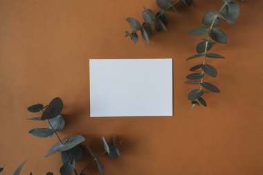 Boş kopya alanı olan boş kağıt kağıdı, koyu kırmızı arka planda kuru okaliptüs dalı. Düz ve üst görünüm işi şablon oluşturur